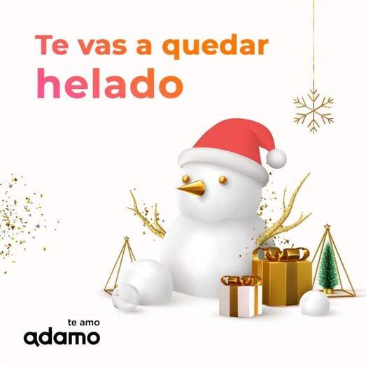 1763_131268581_3947964668576351_4481536920287519985_o promo adamo