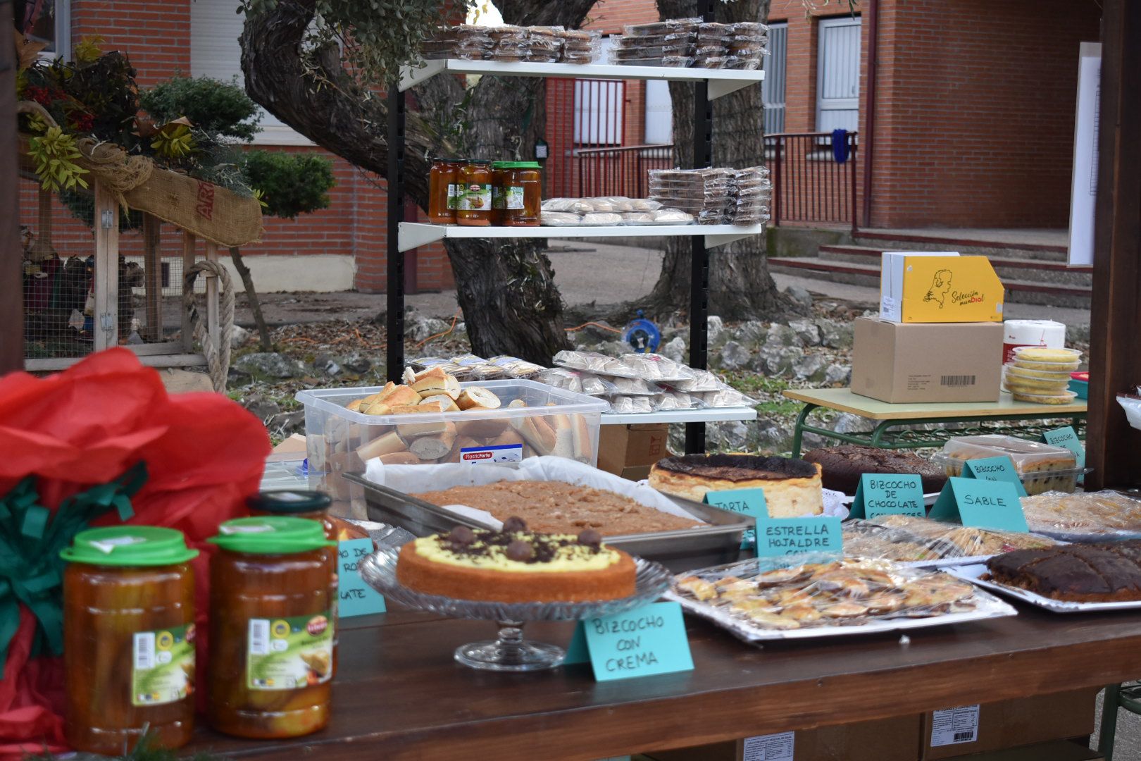 WhatsApp Image 2025-12-17 at 14.28.27 (3) WhatsApp Image 2025-12-17 at 14.28.27 (3)