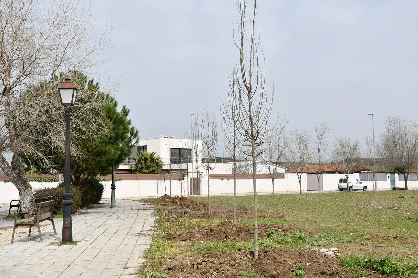 yunclillos verde 3 copia