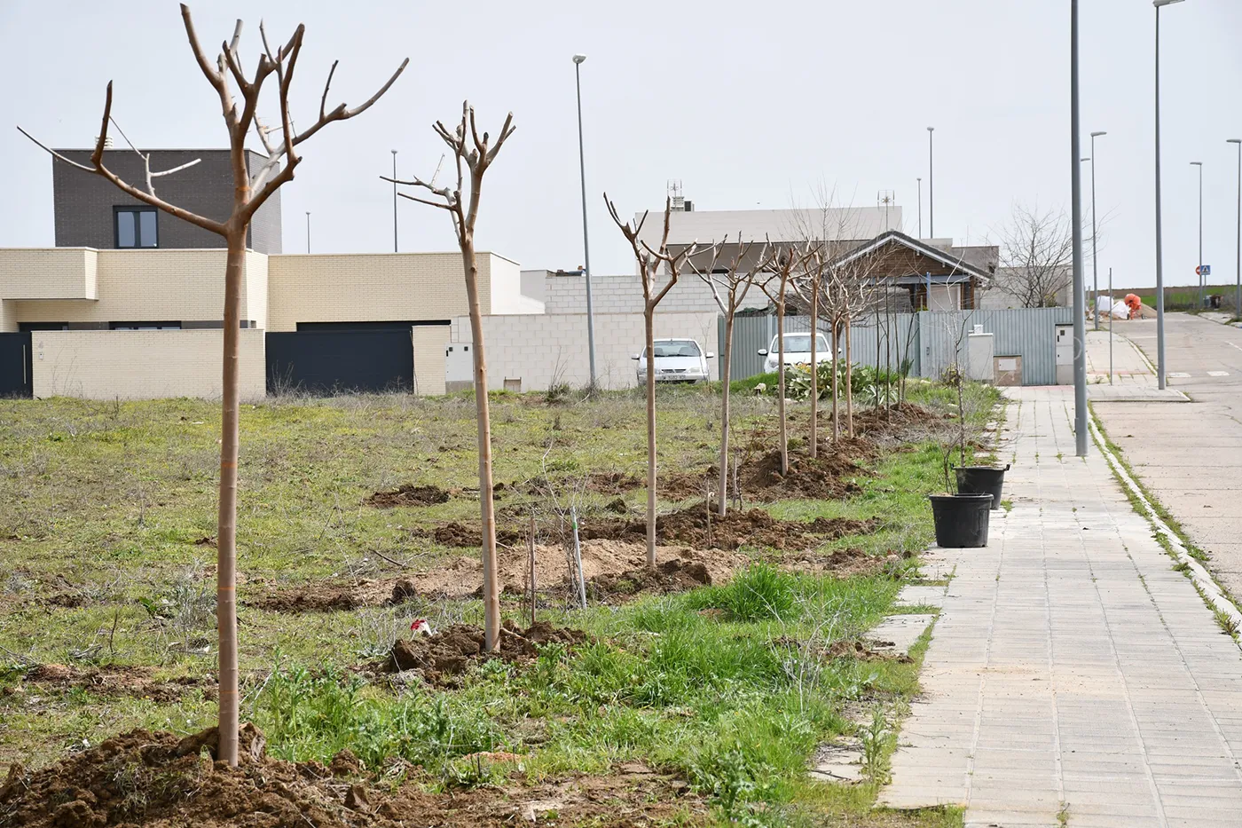 yunclillos verde 4 copia