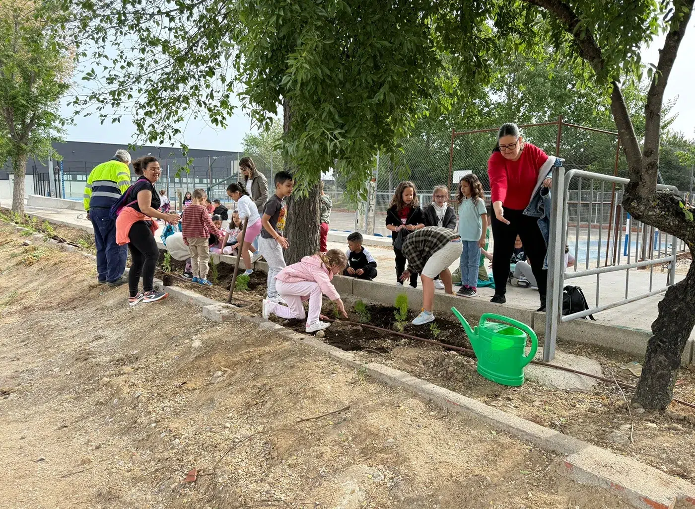 Alumnos del CEIP Pedro Zamorano realizando una plantación en Quismondo