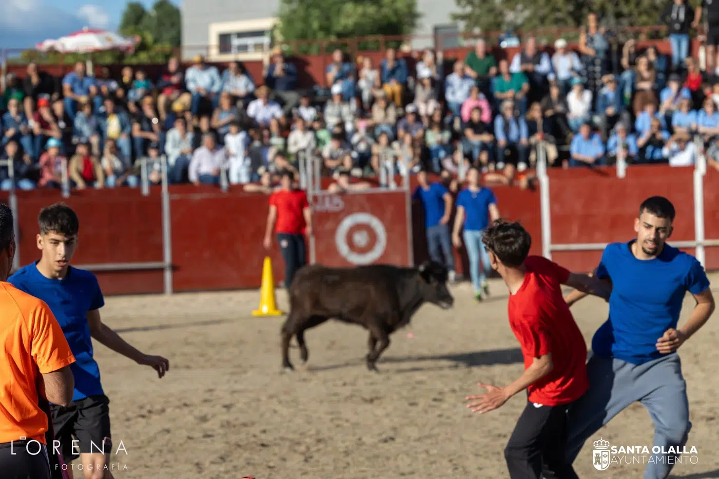 Fiestas Mayores de Santa Olalla (3)