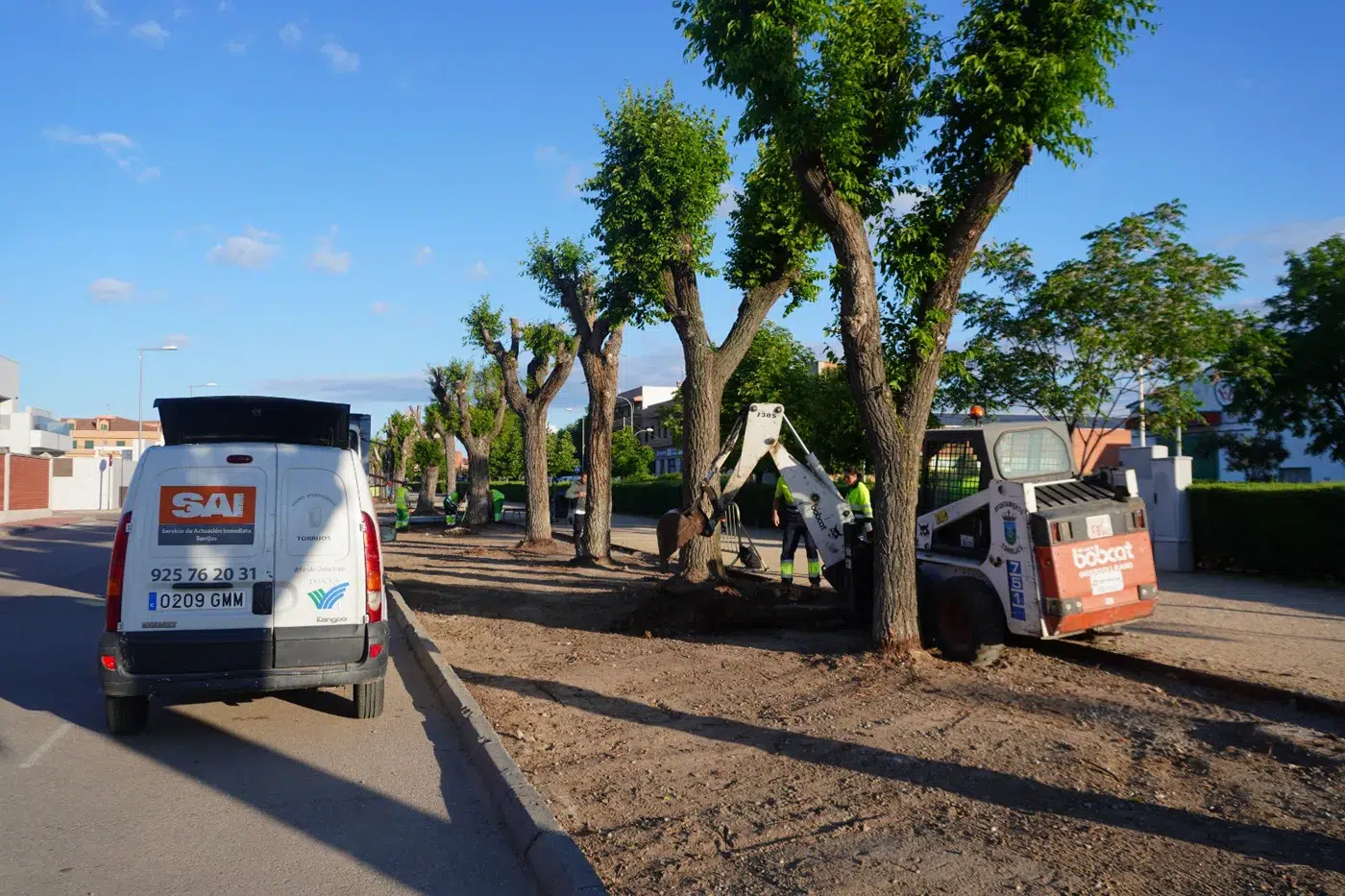 sustitución del césped en El Paseo de Torrijos. (3)