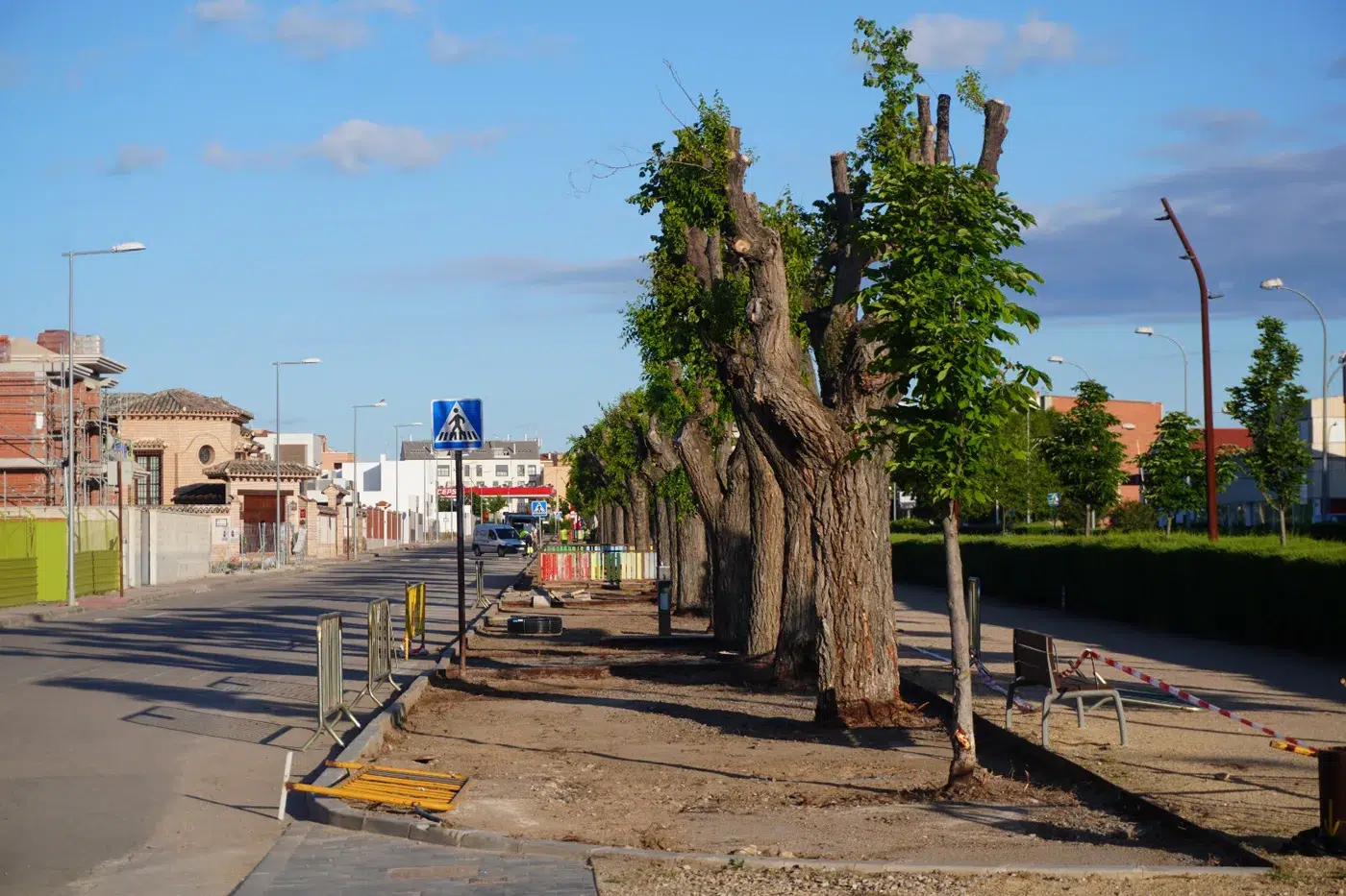 sustitución del césped en El Paseo de Torrijos. (4)