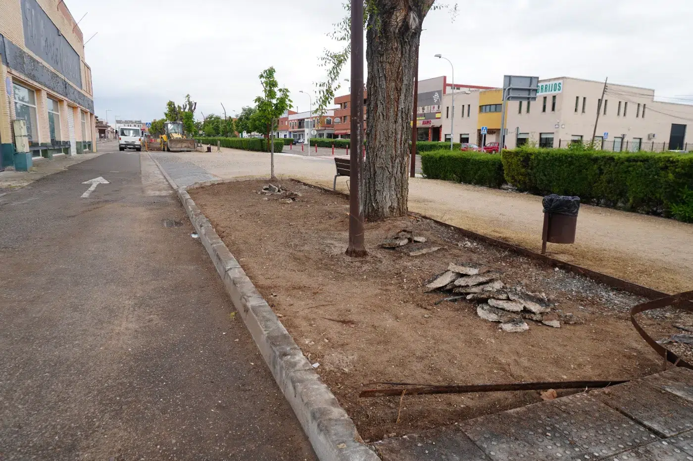 sustitución del césped en El Paseo de Torrijos. (5)