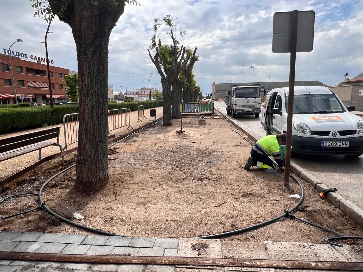 sustitución del césped en El Paseo de Torrijos. (7)