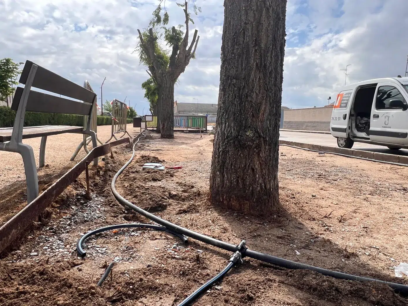 sustitución del césped en El Paseo de Torrijos. (8)