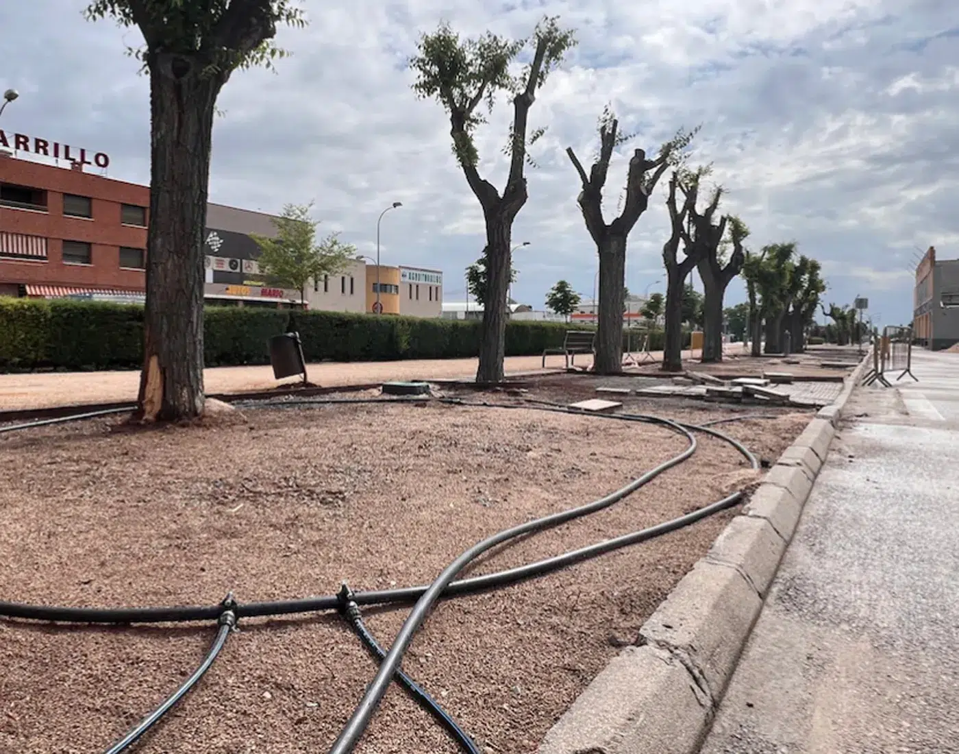 sustitución del césped en El Paseo de Torrijos. (9)