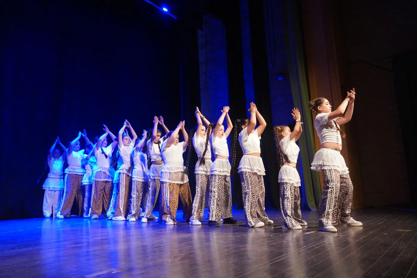Alumnos de la Escuela Municipal de Baile Moderno y Zumba durante su actuación en el Palacio de Pedro I (10)