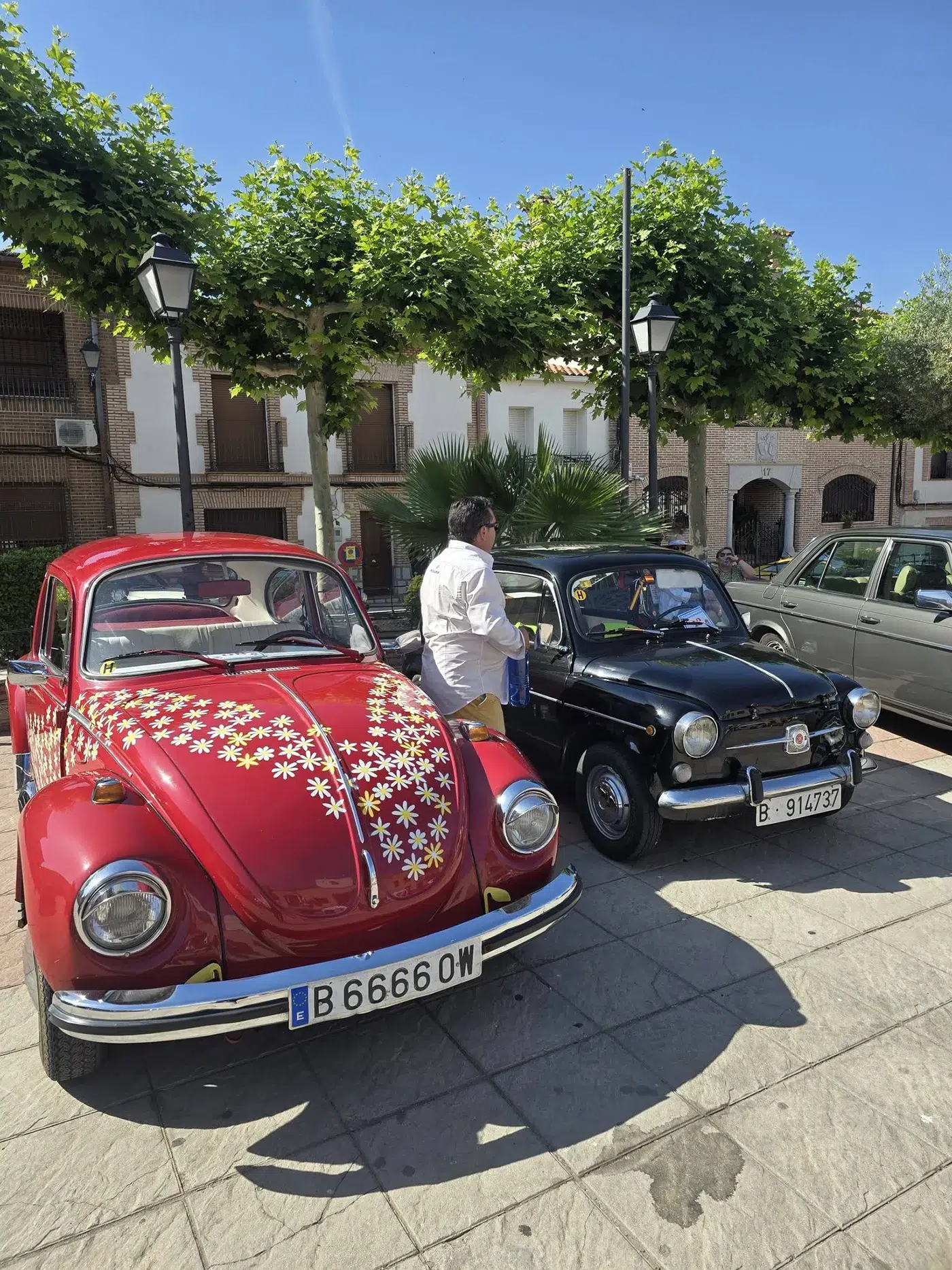 el casar coches clasicos 5