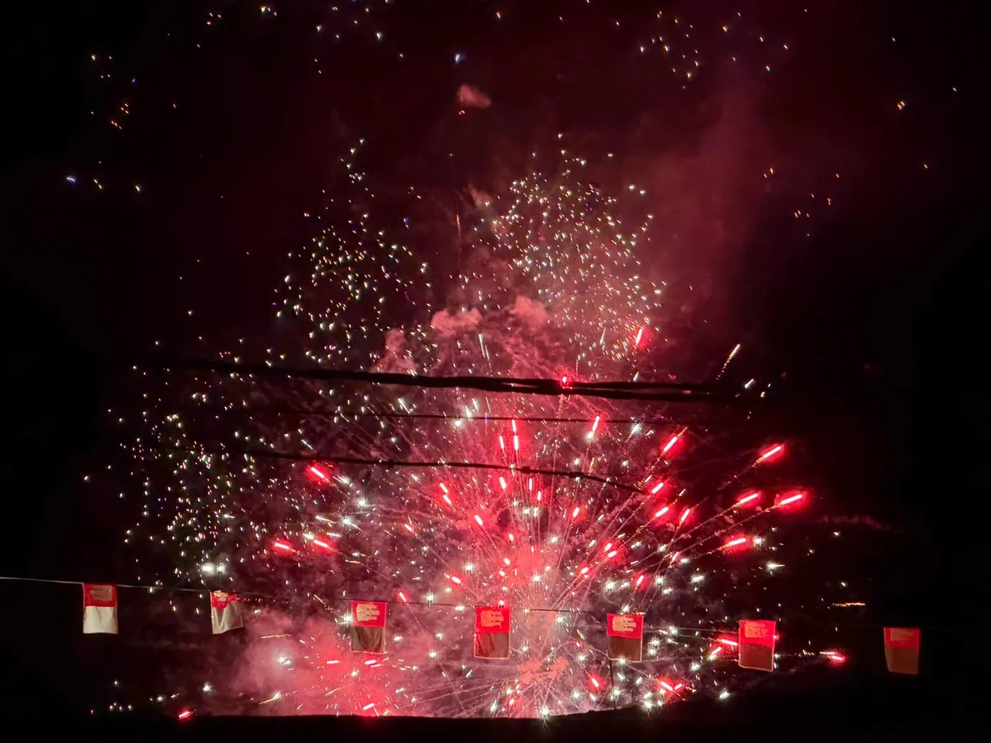 hormigos fiestas 8