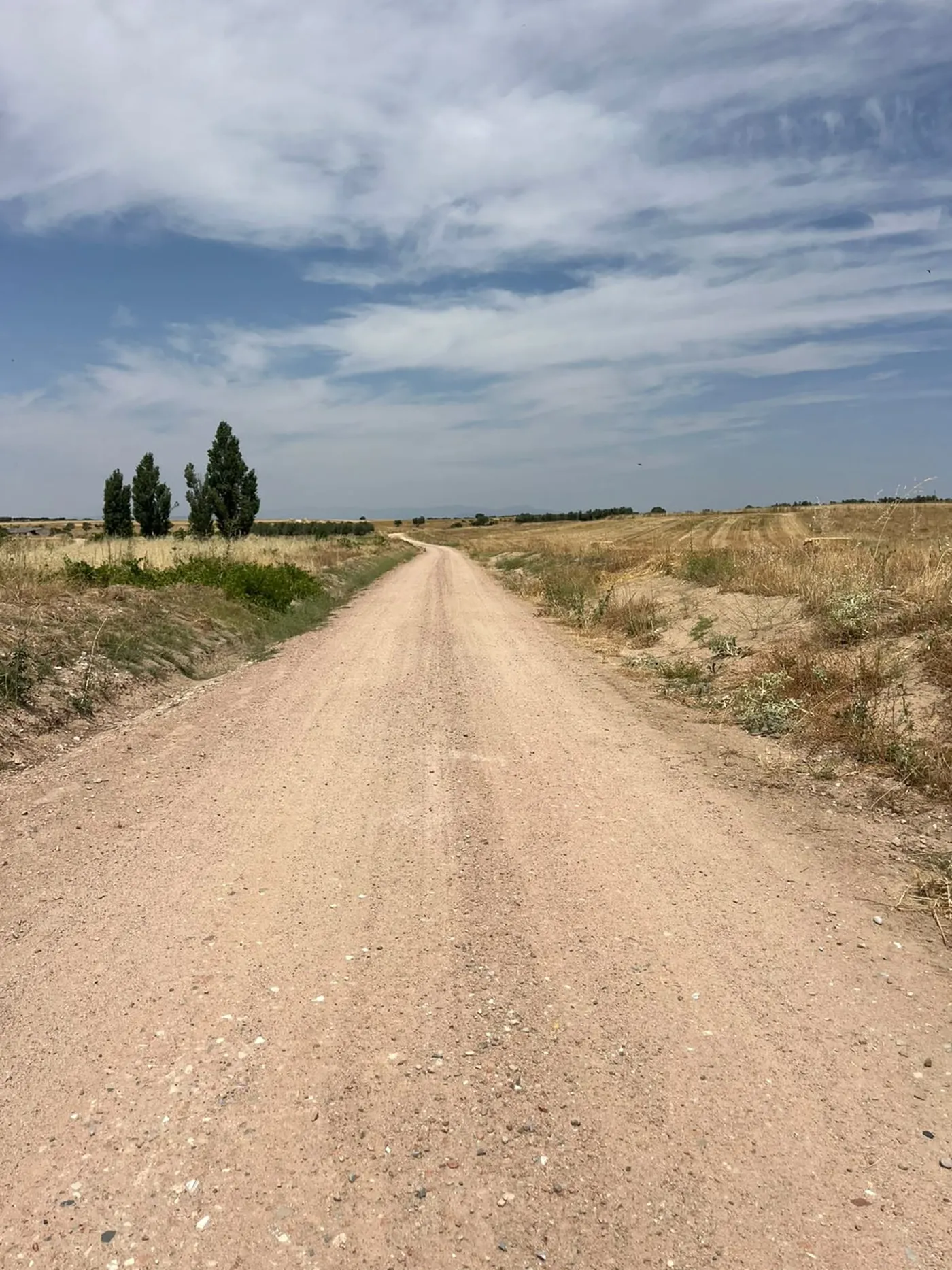 portillo camino 1