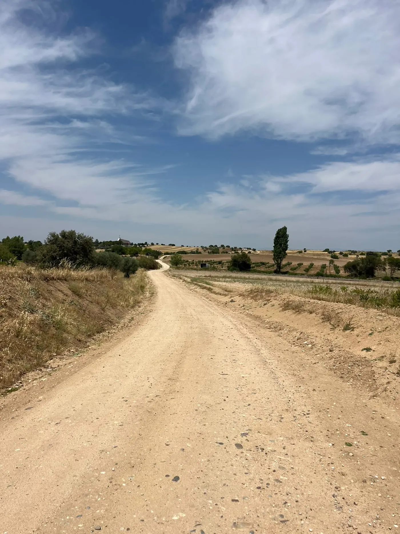 portillo camino 2