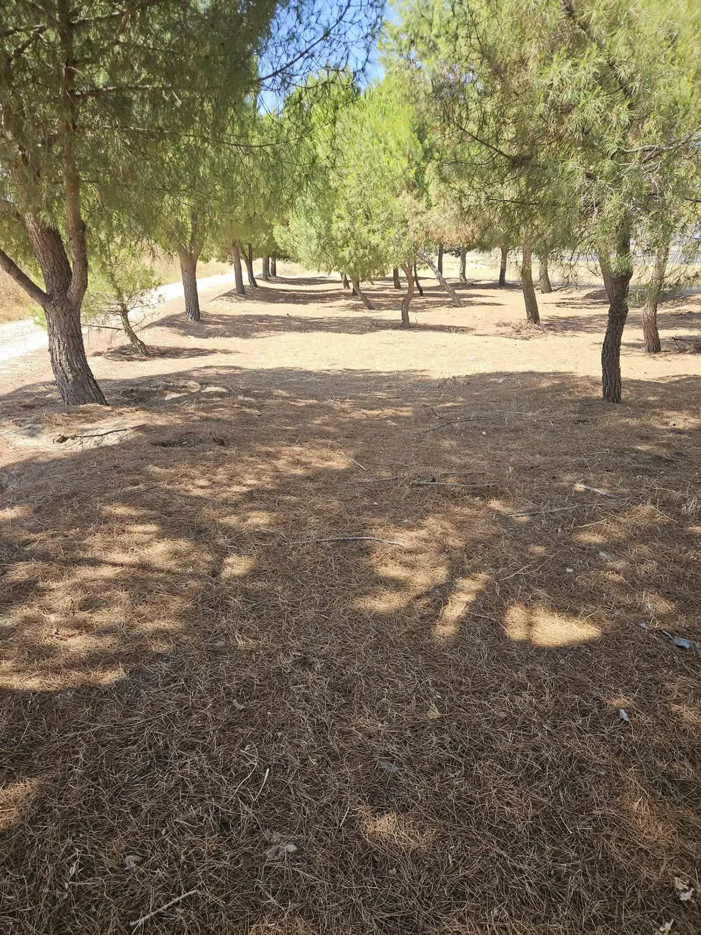huecas incendios 3