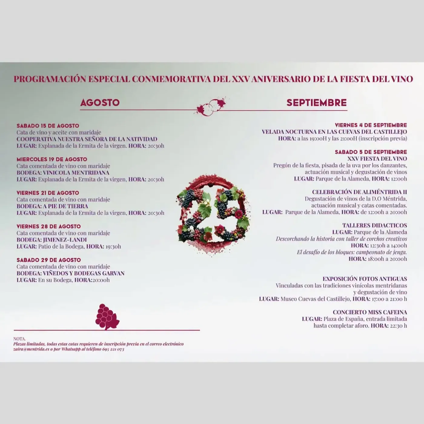 mentrida fiesta vino 2
