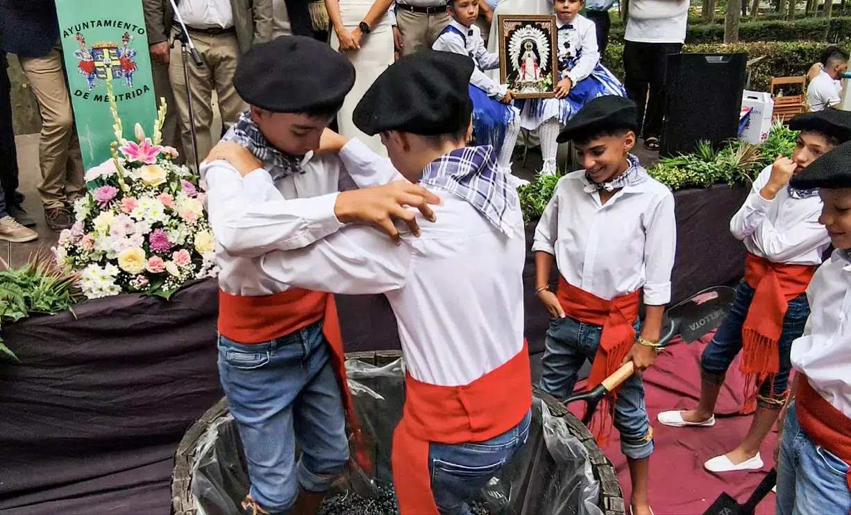Los niños danzantes de la Virgen de la Natividad han protagonizado la tradicional pisada de la uva
