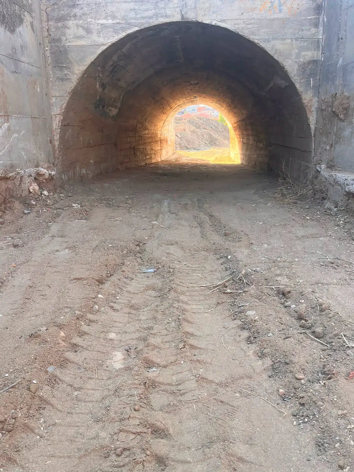 el carpio de tajo tunel 1