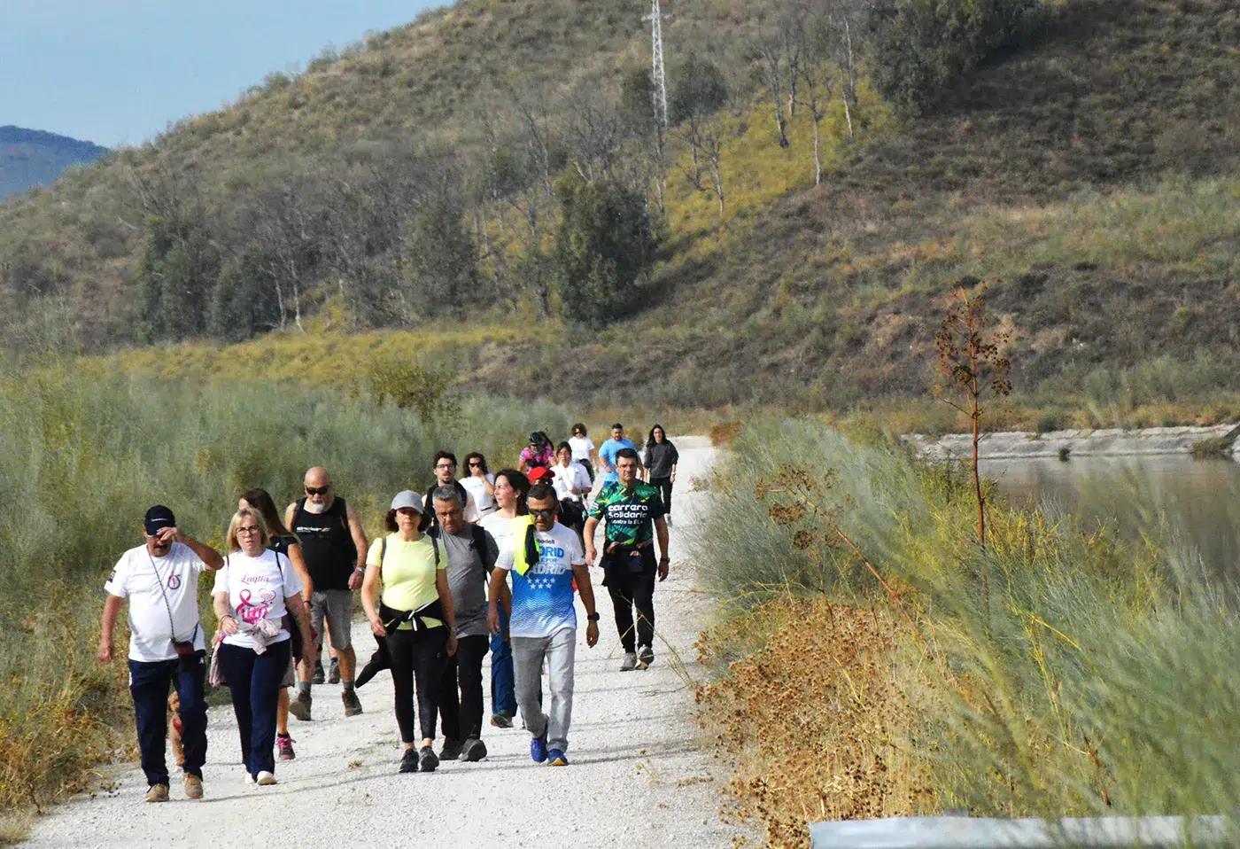 El Carpo Mtb 06