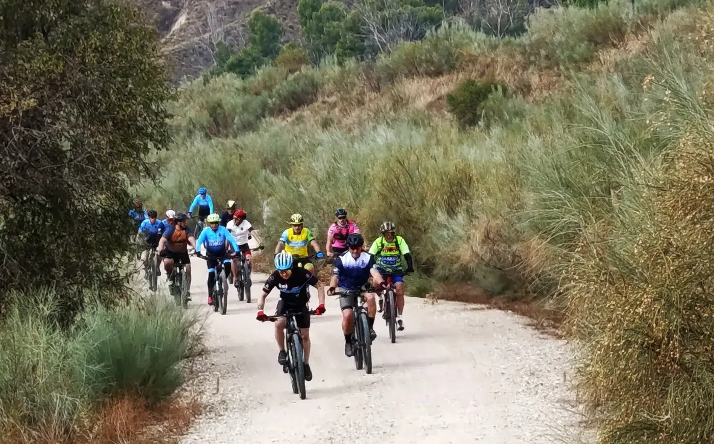 El Carpo Mtb 10