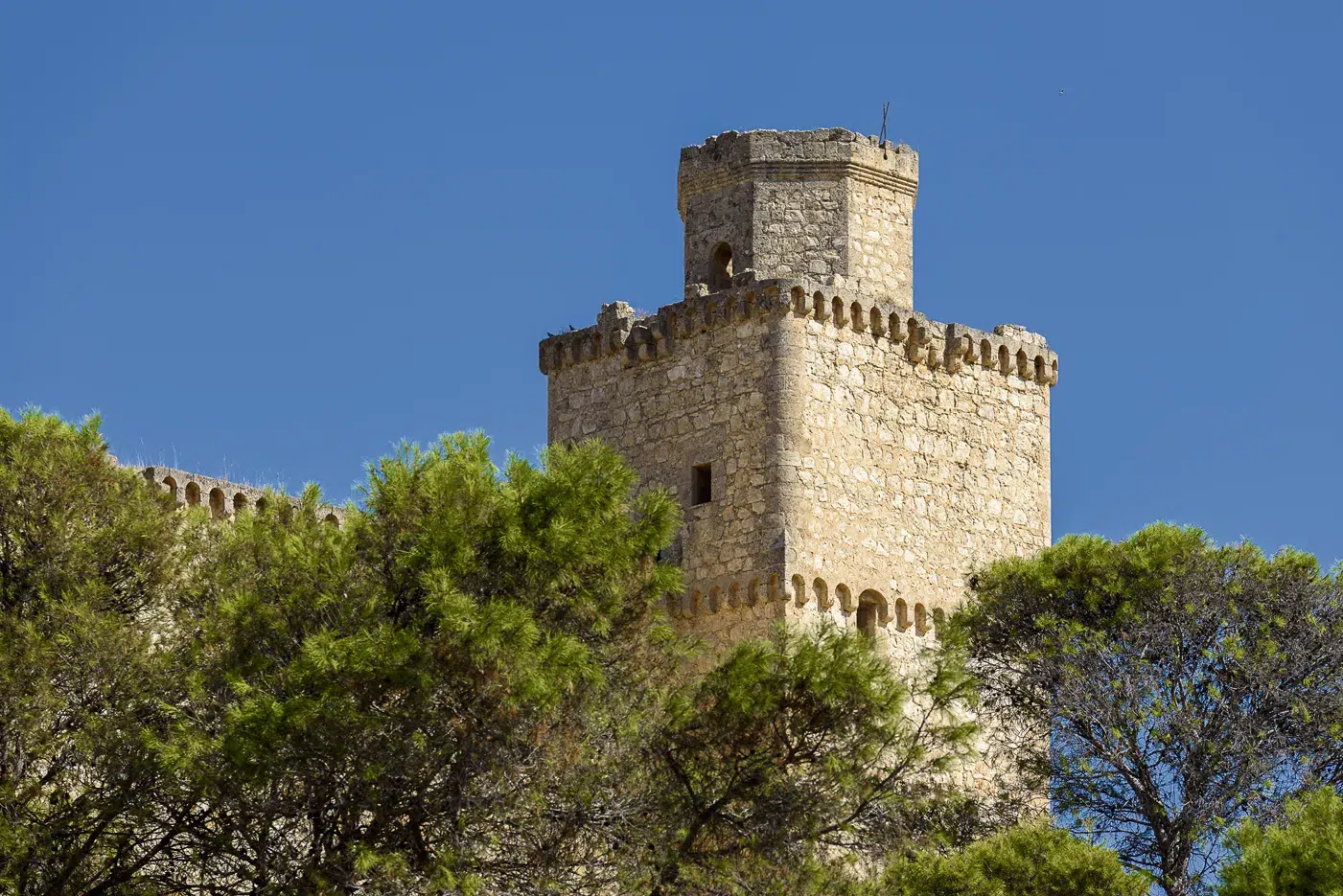 Una de las torres del Castillo de BArcience
