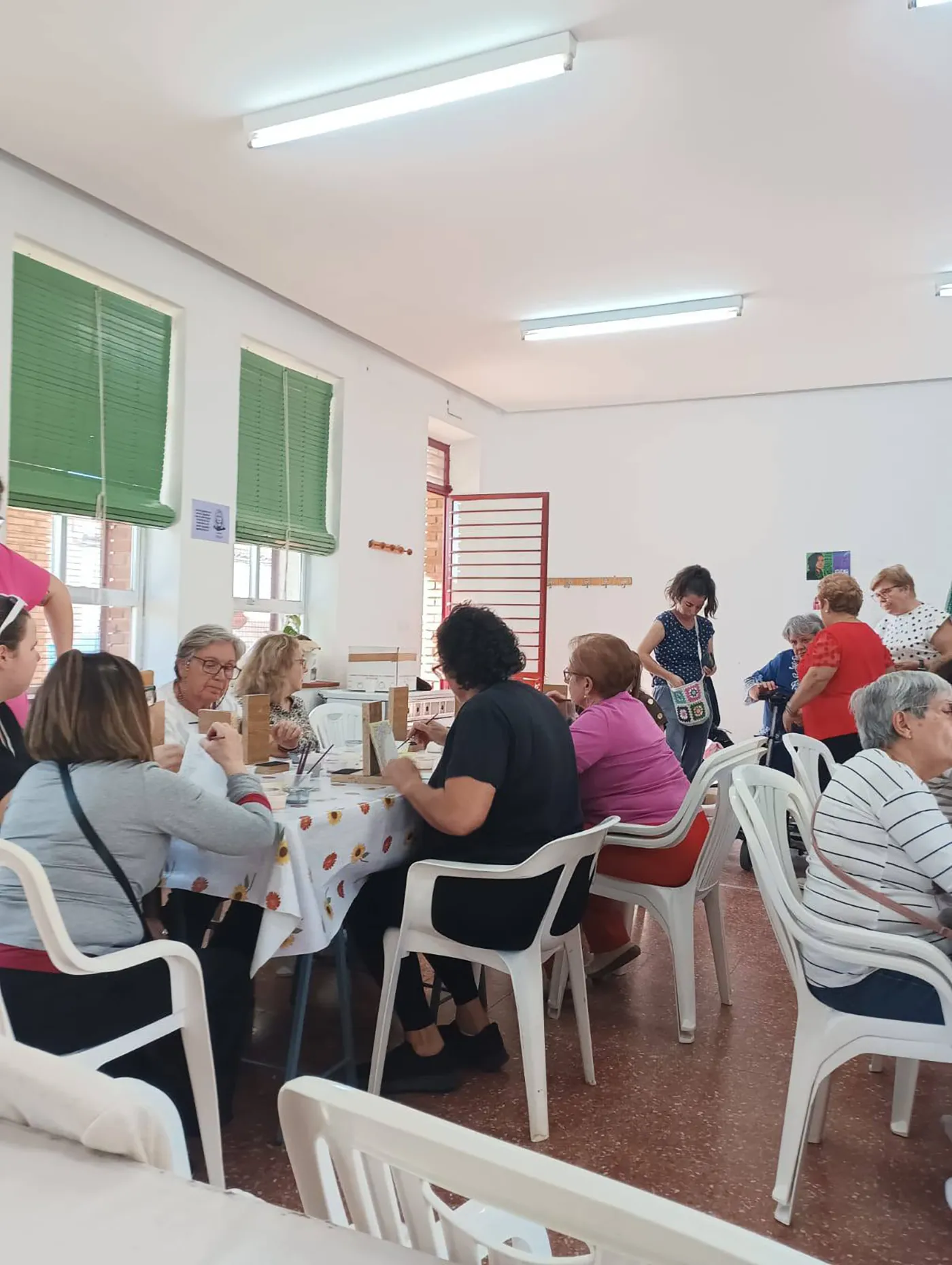 carmena rural 7