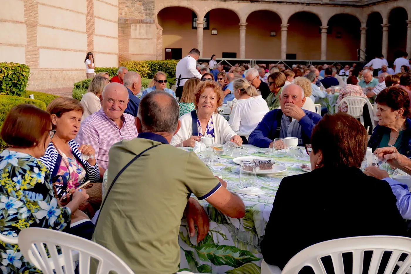 torrijos mayores 2